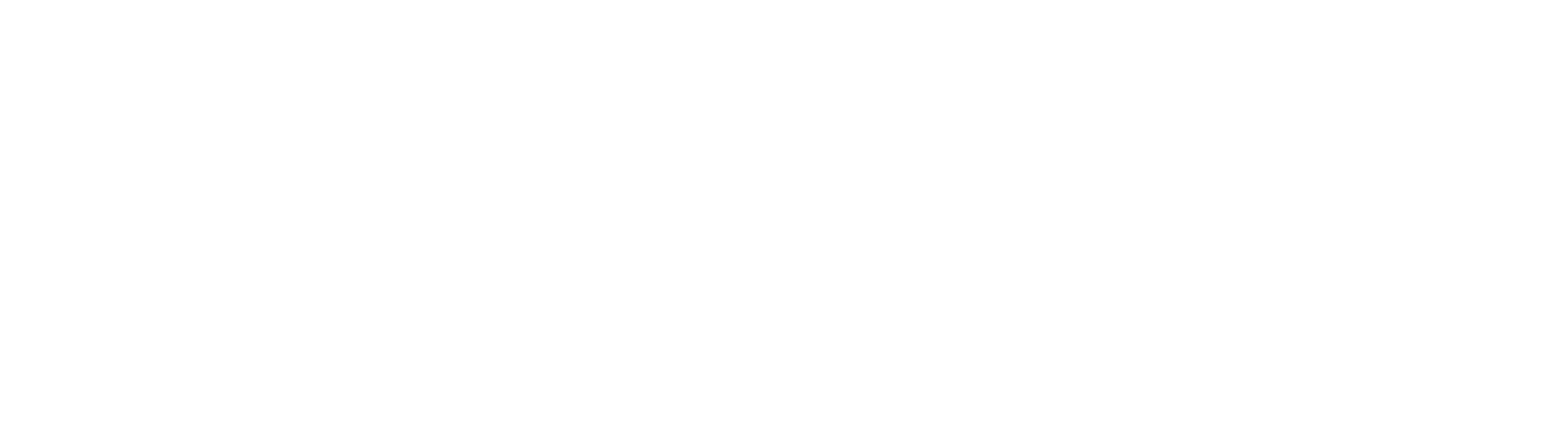 Amorphic Logo