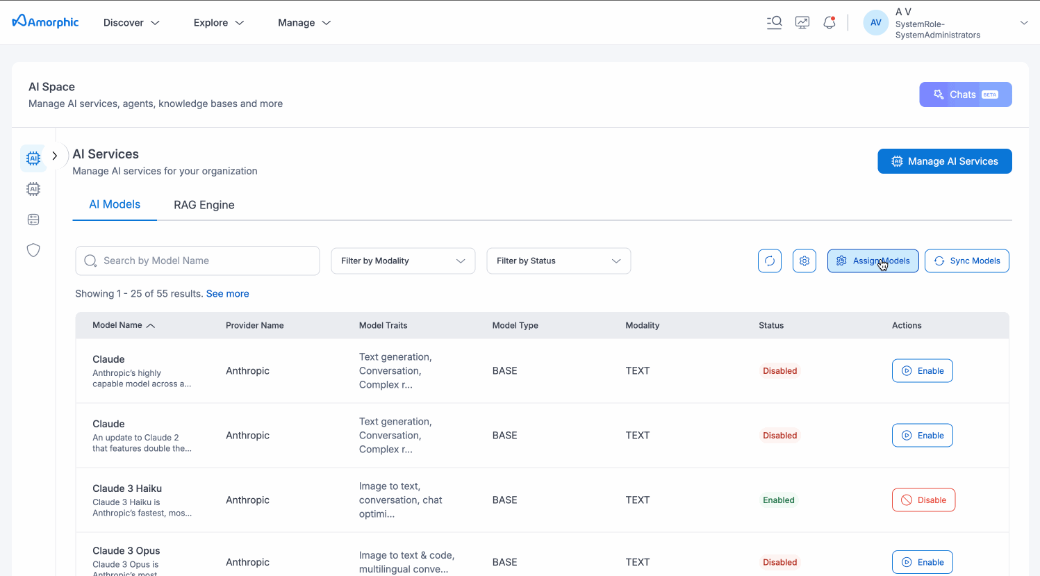 Manage AI Services