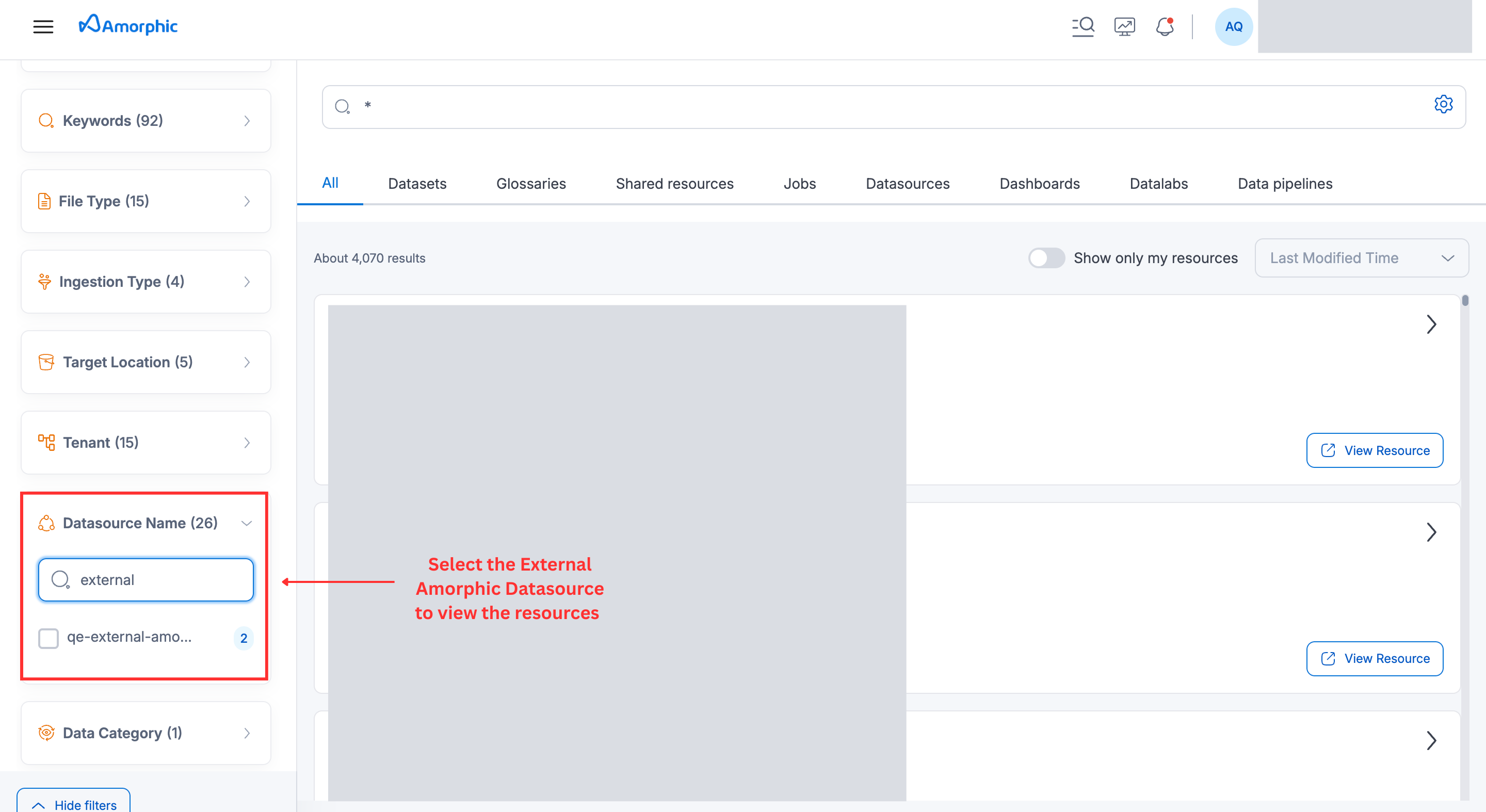 External Amorphic Datasource Catalog