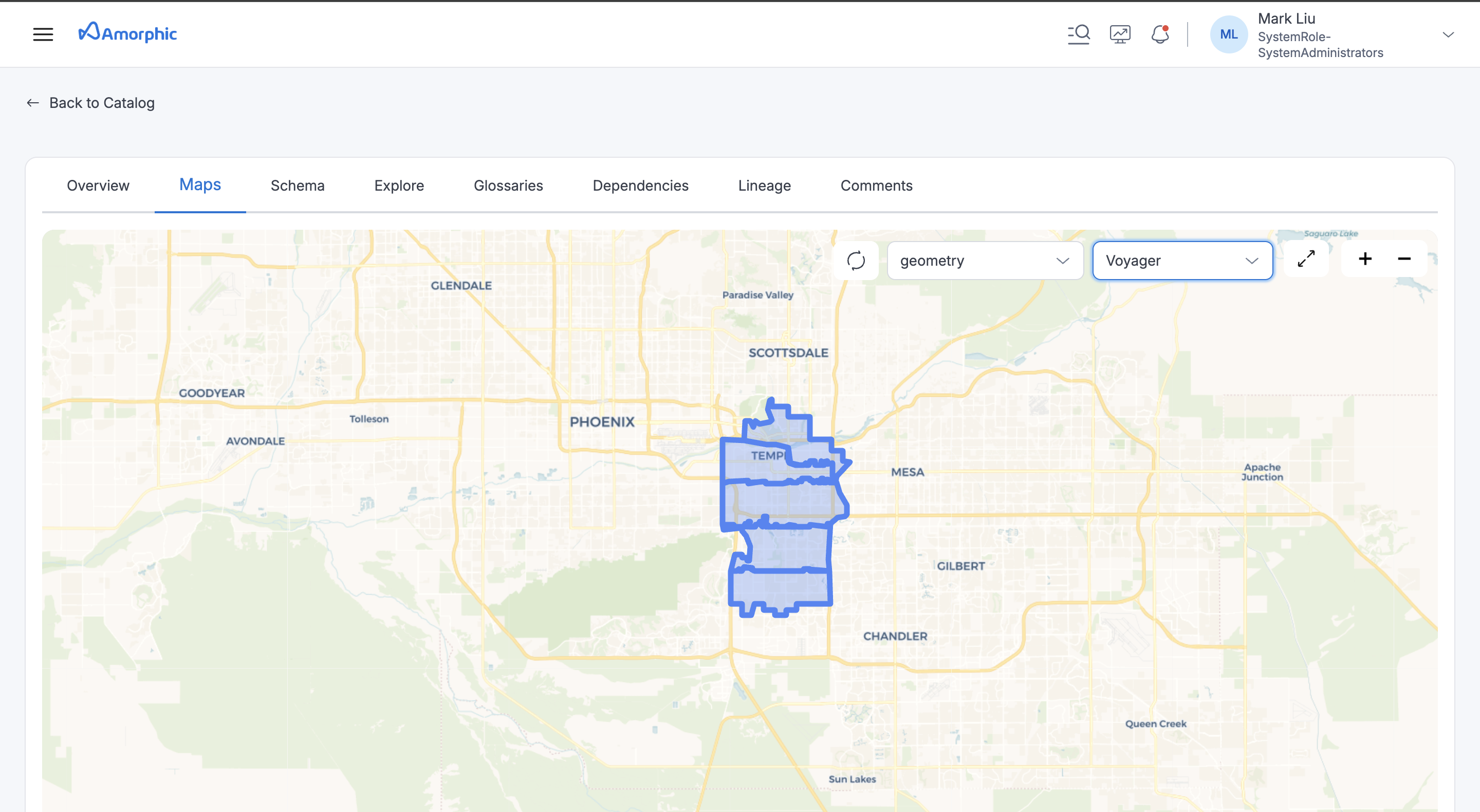 Catalog Asset Details