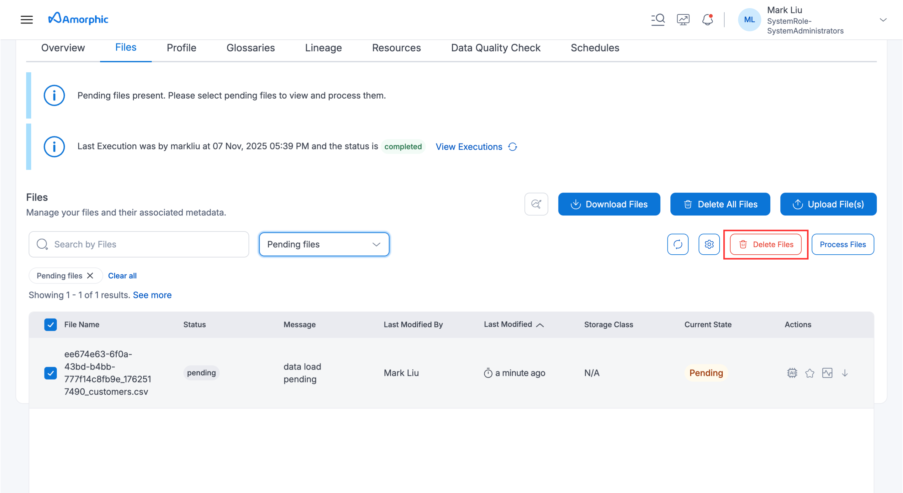 delete_pending_files