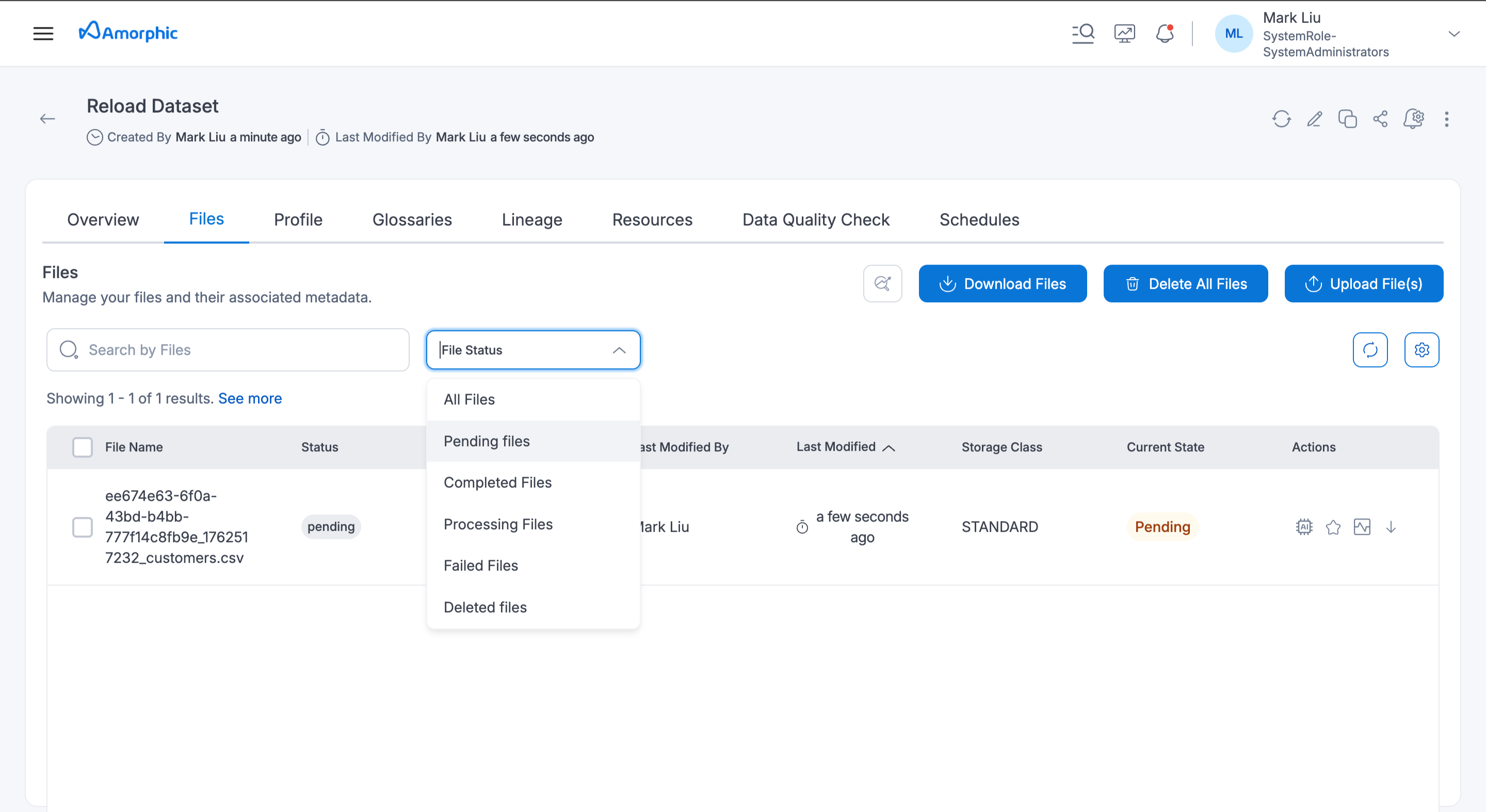 files_in_pending_status_in_pending_files_page