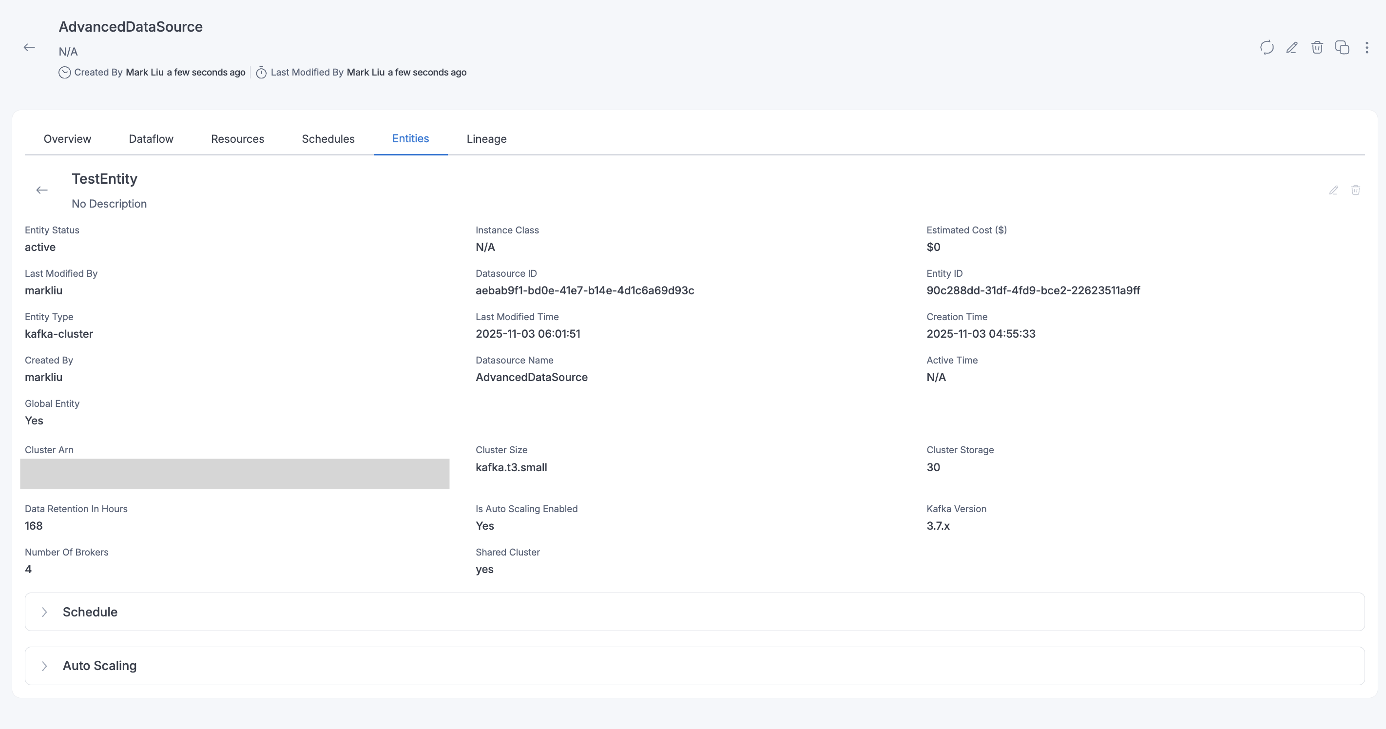 JDBC Advanced Datasource entity details