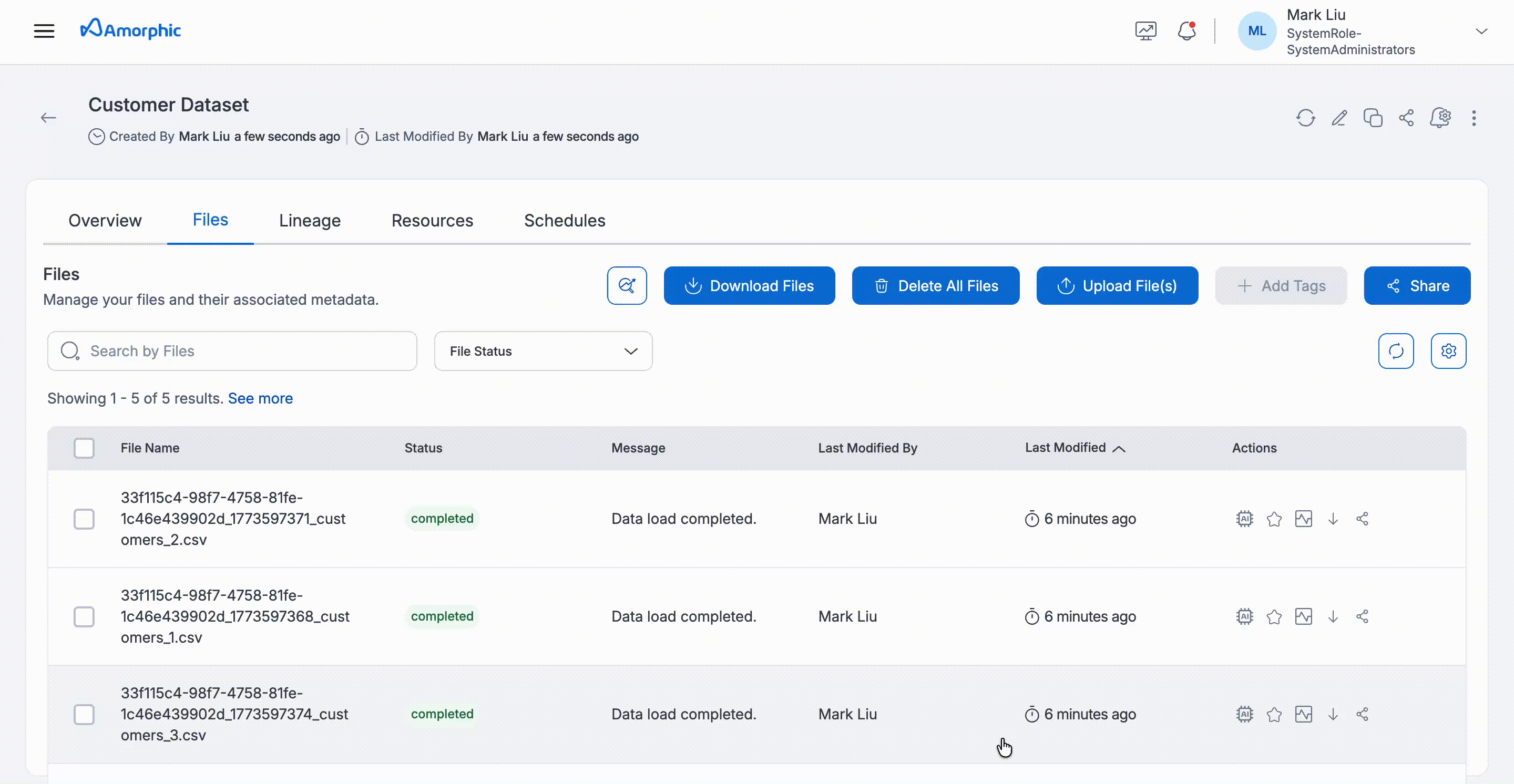 Searching By File Search Tags