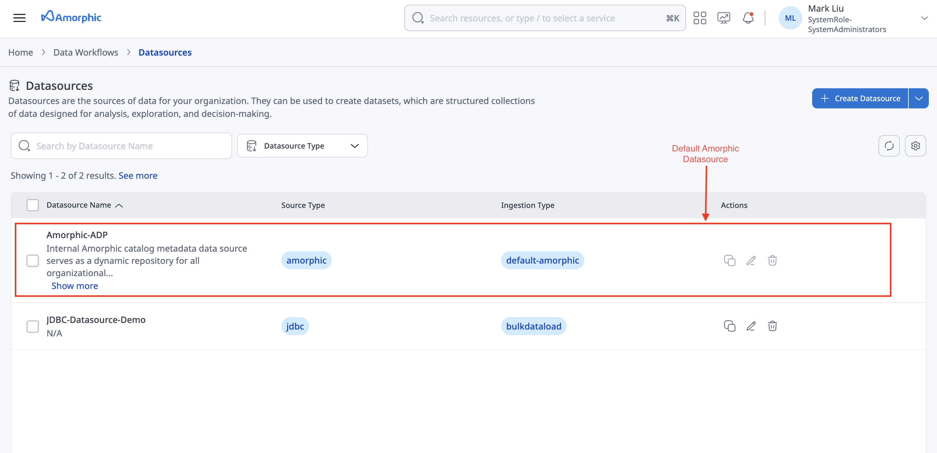 Default Amorphic Datasource