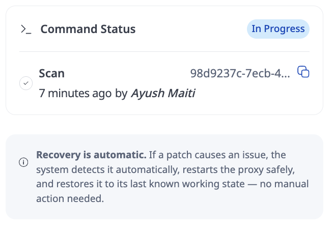 Command status showing a scan in progress